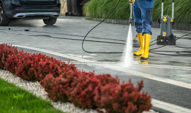 Best House Exterior Washing  in Coleytown, CT
