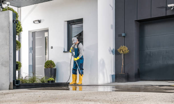 Best Dumpster Area Cleaning  in Coleytown, CT
